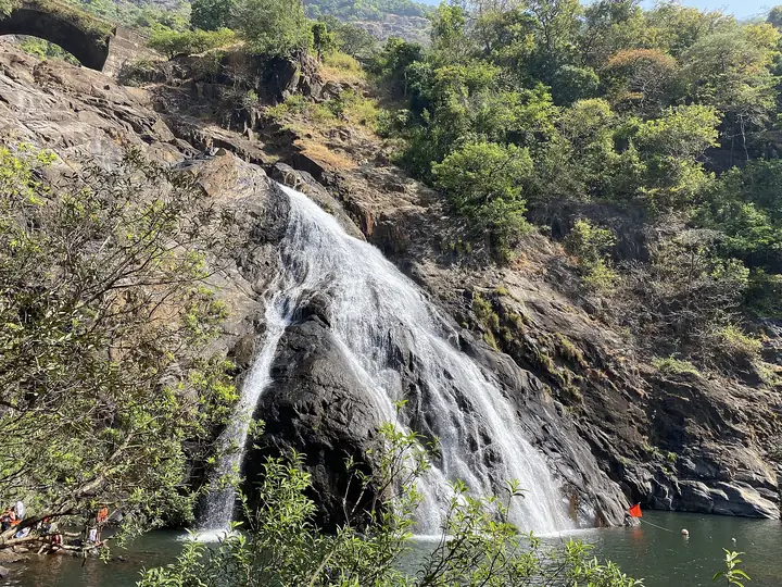 Dudhsagar Falls pouring over rocks into a green pool