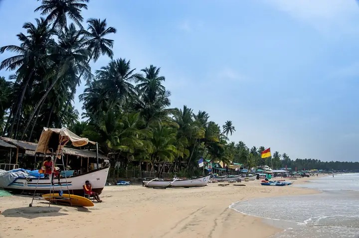Palm trees and fishing boats on a Goa beach